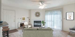 Paradise Island Gallery 19