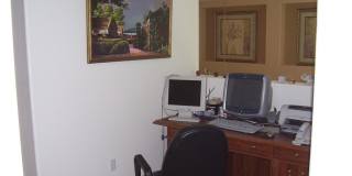3316 Lacebark Pine Street Gallery 22