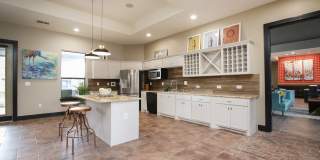 Hollow Tree Park Gallery 32