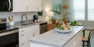 Isla Palmetto Gallery 33