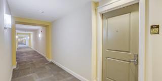 480 Hibiscus Street Gallery 40