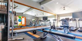 Brighton Place Gallery 6