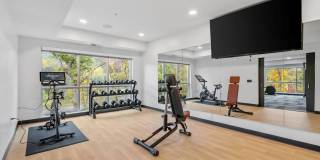 The Aurilla Gallery 40