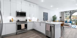 1155 Barton Springs Gallery 2