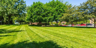 Annen Woods Annen Woods Gallery 29