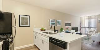 Windsor Villas Gallery 11