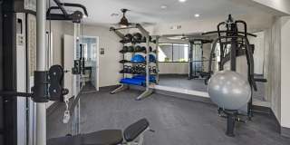 SITE Fifty55 Gallery 6