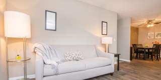 Sussex Downs Gallery 2