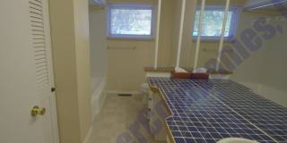 Available June 1st 2026! Gallery 11