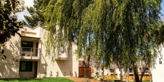 Sharon Green Gallery 51