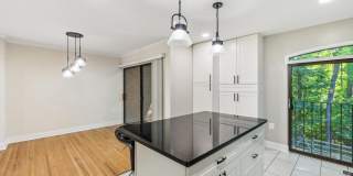 10841 DEBORAH Drive Gallery 9