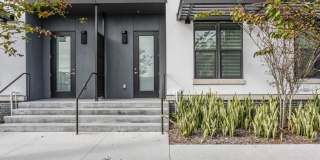 Lector 85 Gallery 29