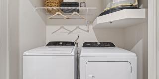 The Jaxon Gallery 15