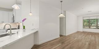 1465 C St Gallery 3