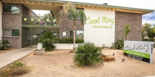 Carol Mary Gallery 21