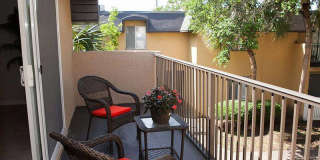 Bella Terraza Gallery 189
