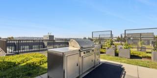 Smith & Burns Gallery 7