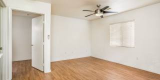 1236 La Ballena Trail Gallery 15