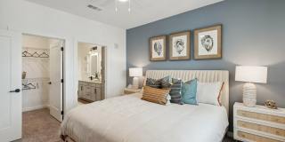 Olea eTown Gallery 14