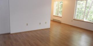 397 Madrona Ave. SE #260 Gallery 1