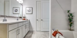 255 Assay Luxury Apartments Gallery 12