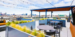 The Quill by Alta Gallery 24