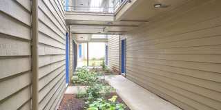 The Zimmer Gallery 32