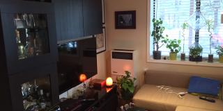 54042 Pine Crest Ave Gallery 1