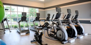 Springs at the Reserve Gallery 24