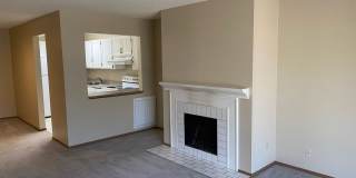 V10301-215 Gallery 3