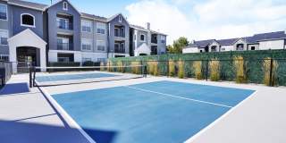 Preston Hollow Gallery 3