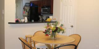 2549 Harn Boulevard Gallery 3
