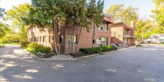 ONE11 COLLECTION - ROYAL OAK Gallery 89