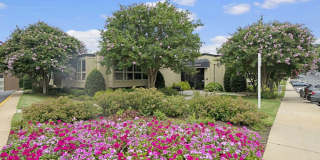 Cinnamon Run at Peppertree Farm Gallery 30