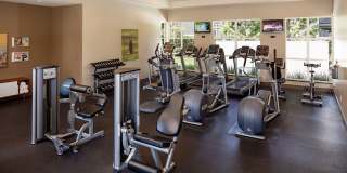 The Markham Apartments Gallery 7