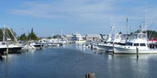 175 Sunset Lane Gallery 44