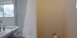 No HOA! North Phoenix 3 Bedroom Home with Large Yard & Garage Gallery 23