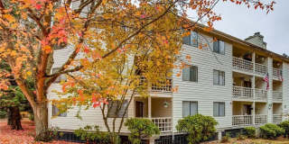 2 Bedroom Corner Unit, excellent location!! Gallery 1