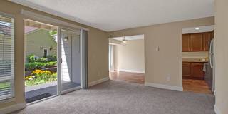 Adagio Gallery 8
