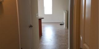 334 Trestle Tree Gallery 29
