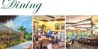 1602 W Spring Meadow Loop Gallery 32