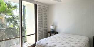 Gold Coast, Tropic Seas - 2BR/2BA/Street Parking Only Gallery 13