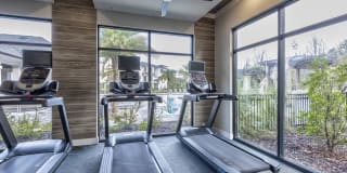 Vintage Amelia Island Apartments Gallery 98