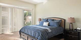 132 Yale Drive Gallery 17