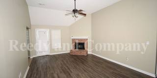 9532 Chi Chi Cv Gallery 4