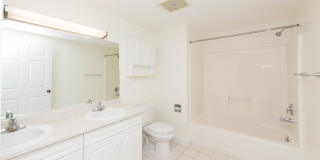 Chestnut Hill East Gallery 22