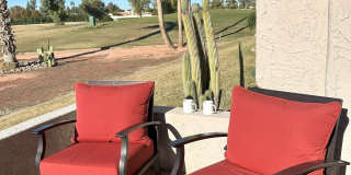 7344 N VIA CAMELLO DEL NORTE Gallery 44