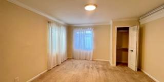 EBN T 1256 Gallery 6