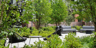 Birch House Gallery 28