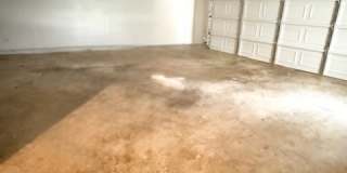 4877 Gadwall Drive West Gallery 16